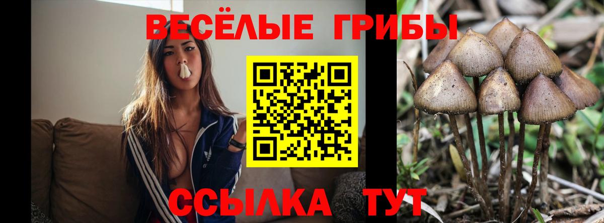 Новоалтайск  Псилоцибиновые грибы Psilocybe  Вход с VPN  где продают наркотики  Галлюциногенные грибы MAGIC MUSHROOMS 